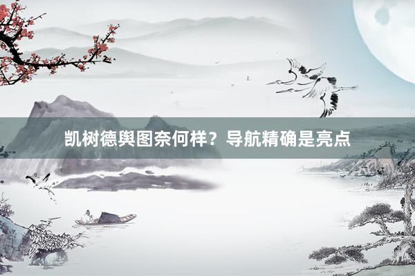 凯树德舆图奈何样？导航精确是亮点
