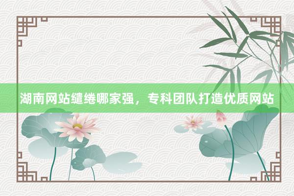 湖南网站缱绻哪家强，专科团队打造优质网站