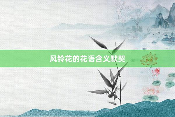 风铃花的花语含义默契